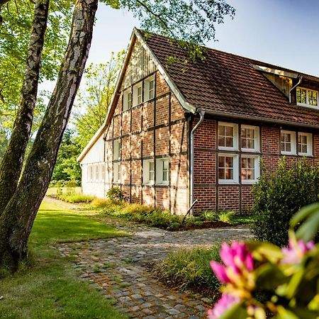 Thuers Im Busch - Gute Stube Plus - Ab 3 Naechte - Ferienwohnungen Mit Stil In Muenster Munster (North Rhine-Westphalia) Exterior foto
